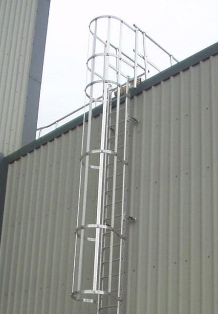 SS Ladders Goldensilvertech